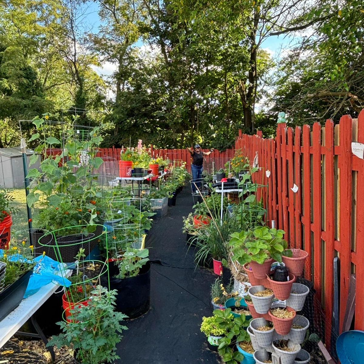 Infinite Storefront's outdoor garden with red fence